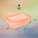 Snap and Nest 4.5c Plastic 10pc Meal Prep Food Storage Container Set