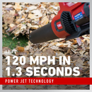 Toro 60V MAX 120 MPH Brushless Leaf Blower with 2.5Ah Battery (51820)