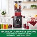 Omega Ultimate Performance Batch Juicer - Black