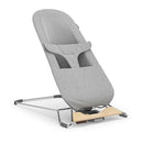 2-in-1 Bouncer and Seat - Grey
