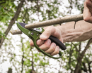 EZ KUT Heavy Duty Ratchet Pruning Shears Green (3130)