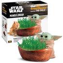 Chia Pet Star Wars Decorative Planter Terracotta Clay 1 pk, Pack of 16