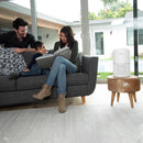 Levoit Core P350-RAC-P Carbon Air Purifier 219 sq ft
