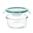 OXO Good Grips 4 cups Clear Food Container and Lid 1 pk