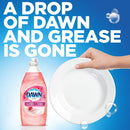 Dawn Ultra Gentle Clean, Pomegranate Splash, 24 Oz Bottle, 10/Carton - PGC74093