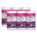 Clorox Scentiva Disinfecting Wipes, Tuscan Lavender And Jasmine, 7 X 8, 70/Canister, 6 Canisters/Carton - CLO31629