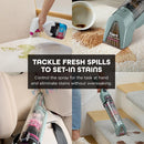 Cordless Portable Spot & Odor Remover System