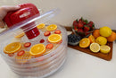4-Tray Fixed Temperature Food Dehydrator