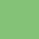 Superior Apple 53"x12 Yds. Seamless Background Paper (63)