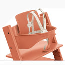 Baby Set2 - Terracotta