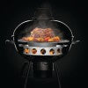 Charcoal Ring and Diffusor Plate