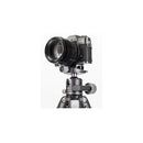 Benro GX30 Two Series Arca-Type Low Profile Aluminum Ball Head