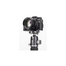 Benro VX30 Two Series ArcaType Ball Head - Aluminum
