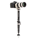 Benro MSD36C SupaDupa Carbon Fiber Monopod  (64.9")