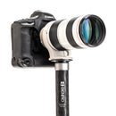 Benro MSD46C SupaDupa Carbon Fiber Monopod (72")