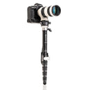 Benro MSDPL46C SupaDupa Carbon Fiber Monopod with Leveling Pan Head (62")