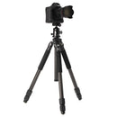 Benro Induro BICLT303 Tripod