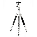 Benro MeFOTO RoadTrip Pro Carbon Fiber Series 1 Travel Tripod with Ball Head and Monopod (Silver)