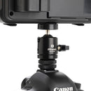 Benro MeVideo Livestream Ball Head