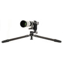 Benro  TMTH44C Mammoth Carbon Fiber Tripod