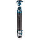 Benro CyanBird Carbon Fiber Tripod with FS30 Ball Head