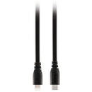 Rode SC19 Lightning to USB Type-C Accessory Cable (5.1')