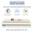 Mini Crib with 2.75-Inch Mattress - Ebony/Natural