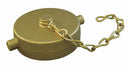 Moon American Hydrant Cap, Pin Lug, Material Brass, Breakable No, Gold - 662-4521
