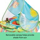 Summer by Ingenuity, Pop 'N Jump Portable Baby Activity Center, Indoor Outdoor Use, Lightweight, Carrying Bag, Canopy, 6-12 months (Animals)