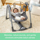 Every Season Swing 'n Go Portable Baby Swing - Wesley
