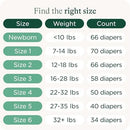 Certified Safe Organic Cotton Enhanced Diapers - Newborn - 66ct