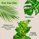 Miracle-Gro Tropical Liquid Plant Food 8 oz