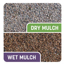 Pennington Smart Patch Mixed Dense Shade Seed/Fertilizer/Mulch Repair Kit 10 lb