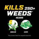 Ortho WeedClear Weed Killer Concentrate 1 gal