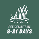 Pennington Kentucky 31 Tall Fescue Grass Sun or Shade Grass Seed 40 lb