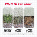 Earth's Ally Weed & Grass Killer Weed and Grass Killer RTU Liquid 1 gal, Pack of 4
