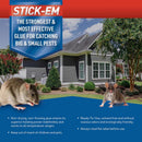 JT Eaton Stick-Em Pro Series Bigfoot Extra Large Glue Board Trap For Insects/Rodents/Snakes 4 pk, Pack of 12