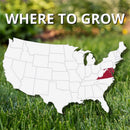 Jonathan Green Black Beauty Delmarva Mixed Sun or Shade Grass Seed 25 lb