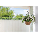 Living Accents Black Steel 6 in. H Basic Plant Hook 1 pk