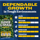 Pennington Smart Seed Clover Grass Mix Full Sun/Light Shade Grass Seed 7 lb
