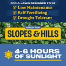 Pennington Smart Seed Clover Grass Mix Full Sun/Light Shade Grass Seed 7 lb