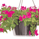 Crescent Garden 5 in. H X 10 in. D Polyethylene Hanging Basket Drip Pan Clear, Pack of 25