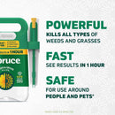 Spruce Snap & Spray Powered Weed and Grass Killer RTU Liquid 64 fl. oz.