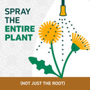 Spruce Snap & Spray Powered Weed and Grass Killer RTU Liquid 64 fl. oz.