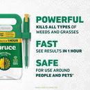 Spruce Weed and Grass Killer Refill RTU Liquid 64 oz
