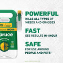 Spruce Snap & Spray Manual Trigger Weed and Grass Killer RTU Liquid 64 oz