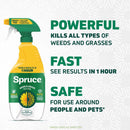 Spruce Weed and Grass Killer RTU Liquid 24 oz