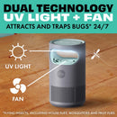 STEM Flying Insect Trap