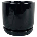 Border Concepts 6 in. D Ceramic Cover Pot Black, Pack of 6