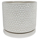 Border Concepts 10 in. D Ceramic Amelia Planter White